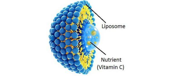 lipozomální vitamín c - schema